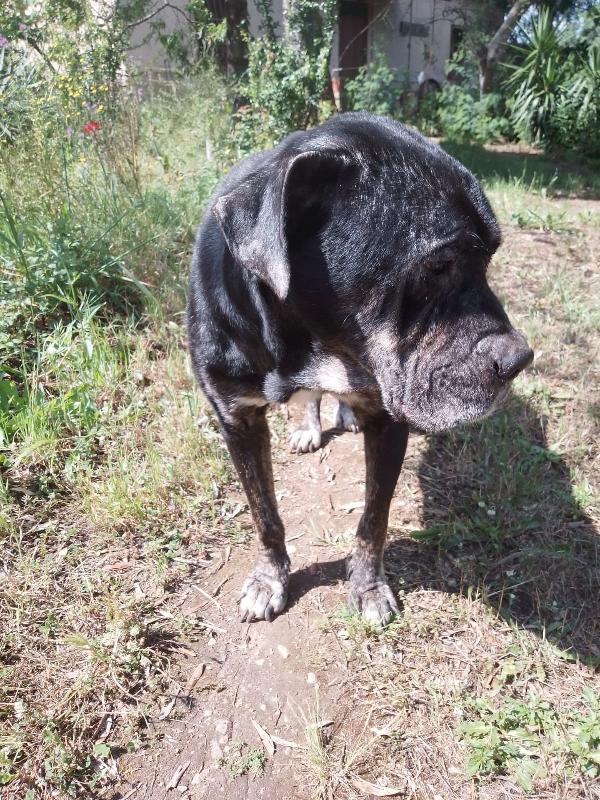 💔 Igor ha perso il suo angelo custode, ora rischia di restare solo 💔 Foto 6